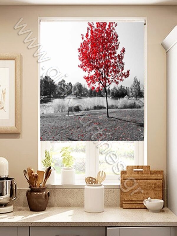 ΡΟΛΕΡ ΣΚΙΑΣΗΣ ΨΗΦΙΑΚΗ ΕΚΤΥΠΩΣΗ