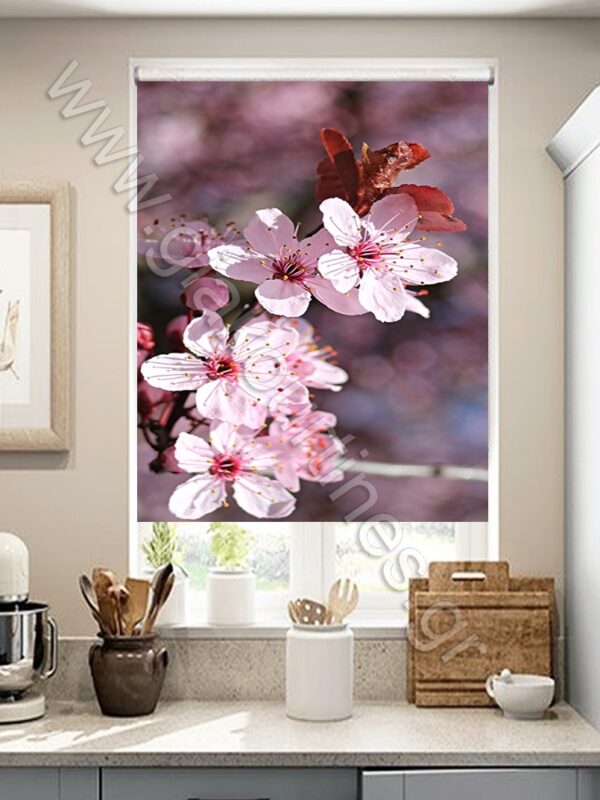 ΡΟΛΕΡ ΣΚΙΑΣΗΣ ΨΗΦΙΑΚΗ ΕΚΤΥΠΩΣΗ