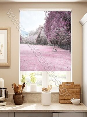 ΡΟΛΕΡ ΣΚΙΑΣΗΣ ΨΗΦΙΑΚΗ ΕΚΤΥΠΩΣΗ ΜΩΒ ΛΙΒΑΔΙ