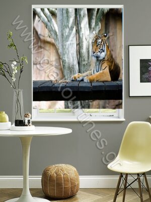 ΡΟΛΕΡ ΣΚΙΑΣΗΣ ΨΗΦΙΑΚΗ ΕΚΤΥΠΩΣΗ