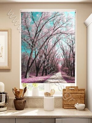 ΡΟΛΕΡ ΣΚΙΑΣΗΣ ΨΗΦΙΑΚΗ ΕΚΤΥΠΩΣΗ