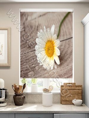 ΡΟΛΕΡ ΣΚΙΑΣΗΣ ΨΗΦΙΑΚΗ ΕΚΤΥΠΩΣΗ