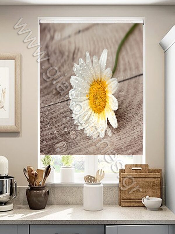 ΡΟΛΕΡ ΣΚΙΑΣΗΣ ΨΗΦΙΑΚΗ ΕΚΤΥΠΩΣΗ