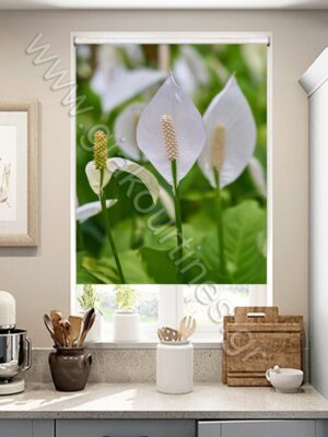 ΡΟΛΕΡ ΣΚΙΑΣΗΣ ΨΗΦΙΑΚΗ ΕΚΤΥΠΩΣΗ