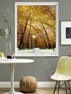 ΡΟΛΕΡ ΣΚΙΑΣΗΣ ΨΗΦΙΑΚΗ ΕΚΤΥΠΩΣΗ