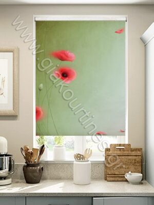 ΡΟΛΕΡ ΣΚΙΑΣΗΣ ΨΗΦΙΑΚΗ ΕΚΤΥΠΩΣΗ