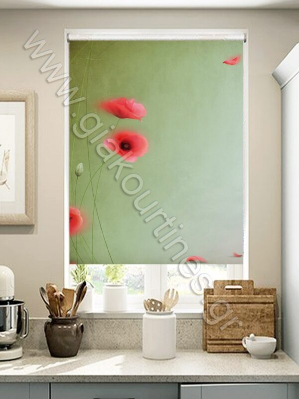 ΡΟΛΕΡ ΣΚΙΑΣΗΣ ΨΗΦΙΑΚΗ ΕΚΤΥΠΩΣΗ