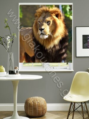 ΡΟΛΕΡ ΣΚΙΑΣΗΣ ΨΗΦΙΑΚΗ ΕΚΤΥΠΩΣΗ