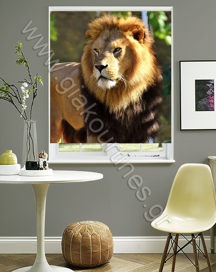 ΡΟΛΕΡ ΣΚΙΑΣΗΣ ΨΗΦΙΑΚΗ ΕΚΤΥΠΩΣΗ