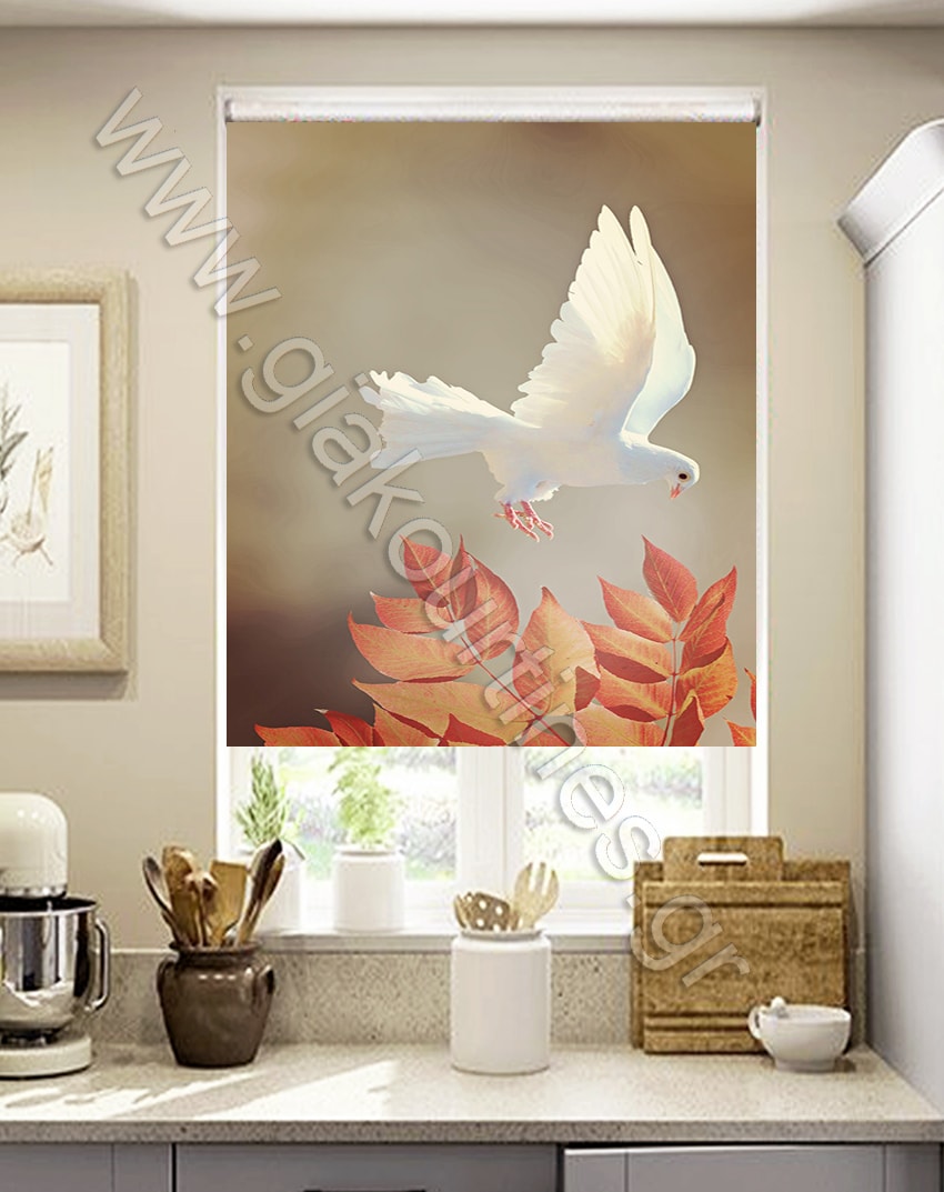 ΡΟΛΕΡ ΣΚΙΑΣΗΣ ΨΗΦΙΑΚΗ ΕΚΤΥΠΩΣΗ