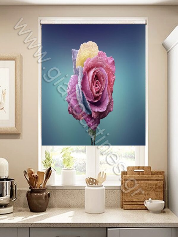 ΡΟΛΕΡ ΣΚΙΑΣΗΣ ΨΗΦΙΑΚΗ ΕΚΤΥΠΩΣΗ