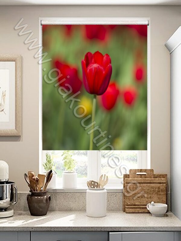 ΡΟΛΕΡ ΣΚΙΑΣΗΣ ΨΗΦΙΑΚΗ ΕΚΤΥΠΩΣΗ