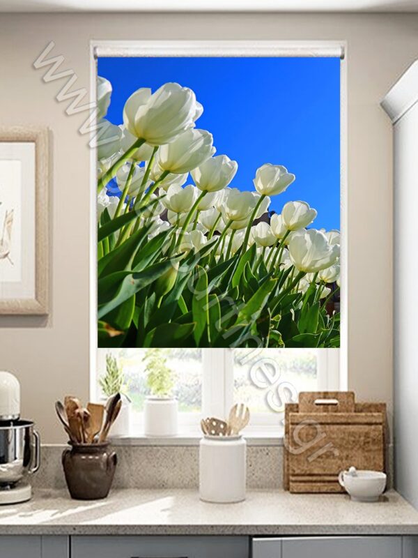 ΡΟΛΕΡ ΣΚΙΑΣΗΣ ΨΗΦΙΑΚΗ ΕΚΤΥΠΩΣΗ