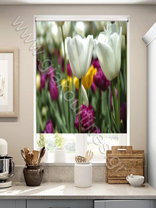 ΡΟΛΕΡ ΣΚΙΑΣΗΣ ΨΗΦΙΑΚΗ ΕΚΤΥΠΩΣΗ