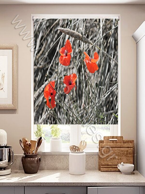 ΡΟΛΕΡ ΣΚΙΑΣΗΣ ΨΗΦΙΑΚΗ ΕΚΤΥΠΩΣΗ