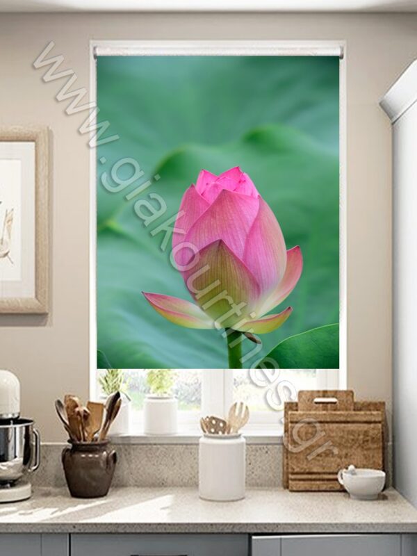 ΡΟΛΕΡ ΣΚΙΑΣΗΣ ΨΗΦΙΑΚΗ ΕΚΤΥΠΩΣΗ