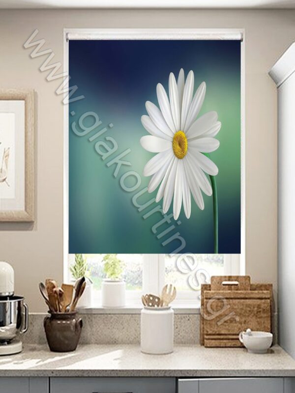 ΡΟΛΕΡ ΣΚΙΑΣΗΣ ΨΗΦΙΑΚΗ ΕΚΤΥΠΩΣΗ