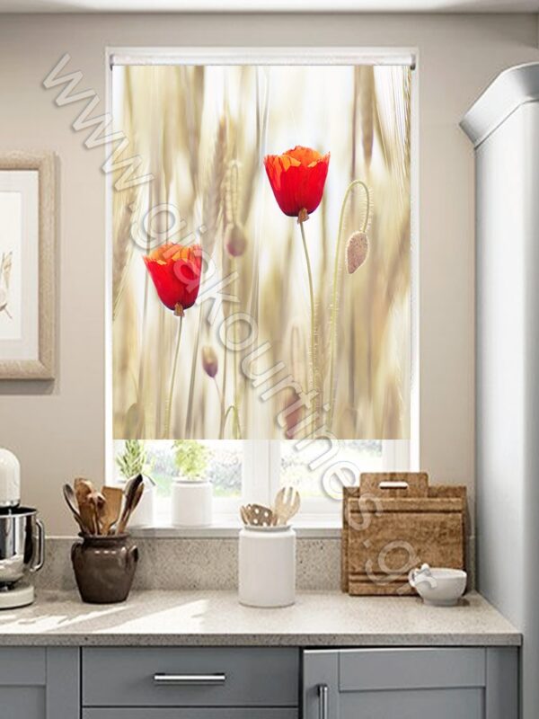 ΡΟΛΕΡ ΣΚΙΑΣΗΣ ΨΗΦΙΑΚΗ ΕΚΤΥΠΩΣΗ