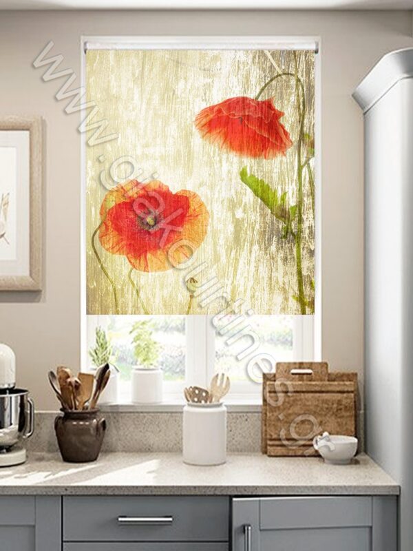 ΡΟΛΕΡ ΣΚΙΑΣΗΣ ΨΗΦΙΑΚΗ ΕΚΤΥΠΩΣΗ