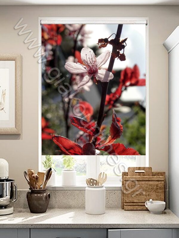 ΡΟΛΕΡ ΣΚΙΑΣΗΣ ΨΗΦΙΑΚΗ ΕΚΤΥΠΩΣΗ