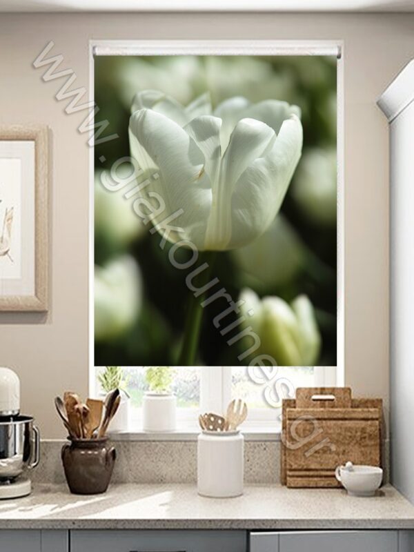 ΡΟΛΕΡ ΣΚΙΑΣΗΣ ΨΗΦΙΑΚΗ ΕΚΤΥΠΩΣΗ