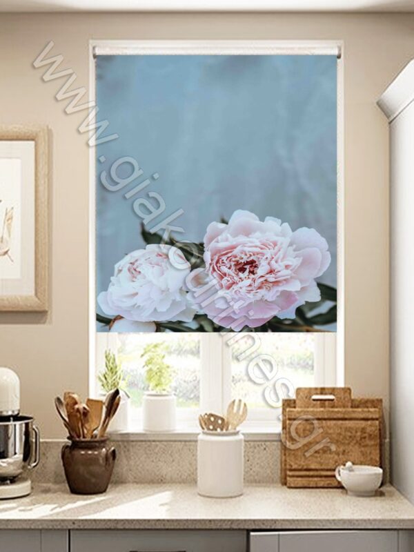 ΡΟΛΕΡ ΣΚΙΑΣΗΣ ΨΗΦΙΑΚΗ ΕΚΤΥΠΩΣΗ